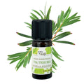 Huile essentielle Tea tree Certifiée Bio